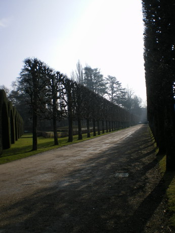 c0124619_22144330.jpg