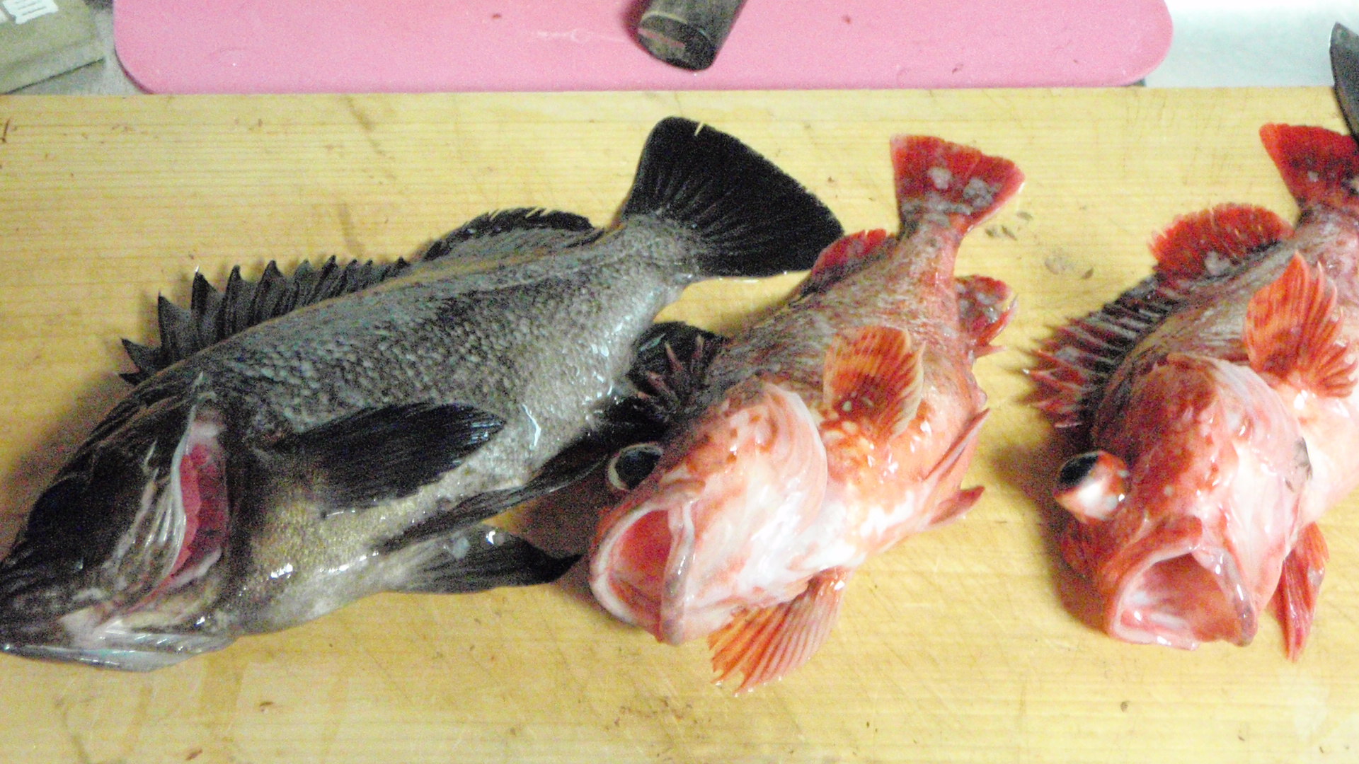 ガシ メバル薄作り 魚料理を極めろ