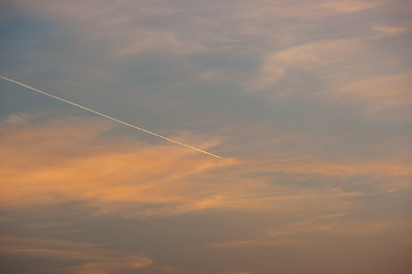 f0077521_1173996.jpg