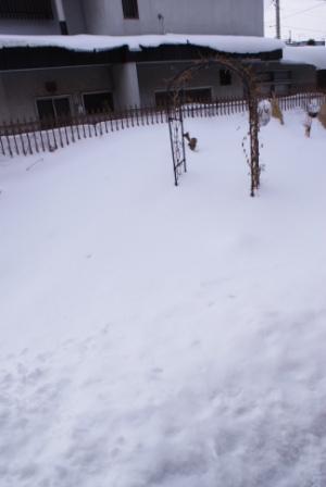 f0170524_12113398.jpg