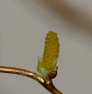 f0170524_12182214.jpg