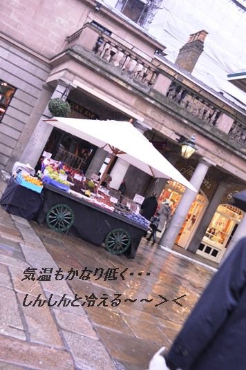 おうち居酒屋!たたき鶏のぺったん焼き☆_d0104926_3334991.jpg