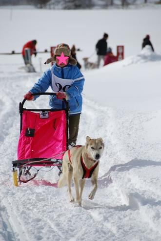 犬ぞりレポート その1_c0099133_2351771.jpg