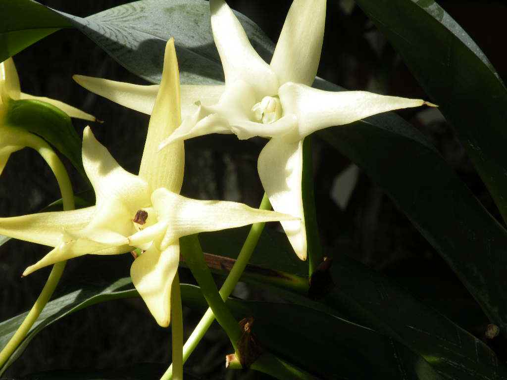 f0117041_545184.jpg