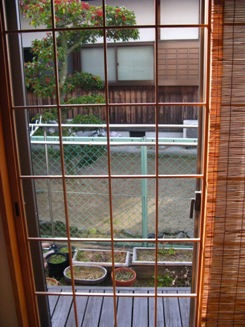c0223446_11333410.jpg