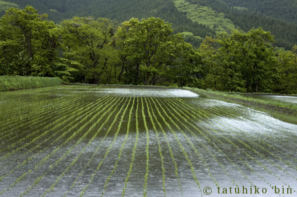 敏 龍彦 写真展「里山の四季」_c0142549_10482120.jpg