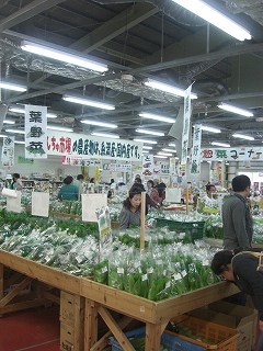 f0009451_1036995.jpg