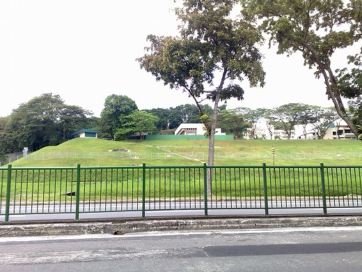 e0195952_17464892.jpg