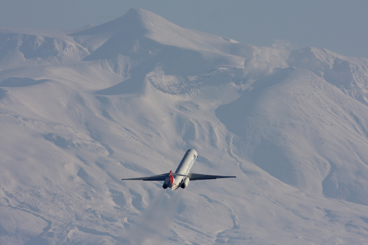 e0104755_853109.jpg