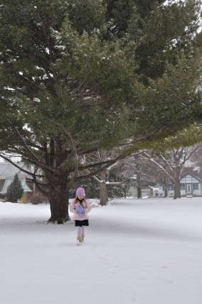 雪が止まんない。_e0028272_4423571.jpg