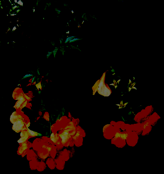 d0101676_1238734.gif