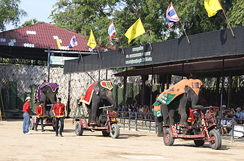 a0024385_3293968.jpg