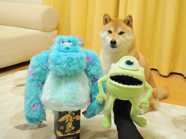 痛いの痛いの飛んでけ!_a0126590_2342527.jpg