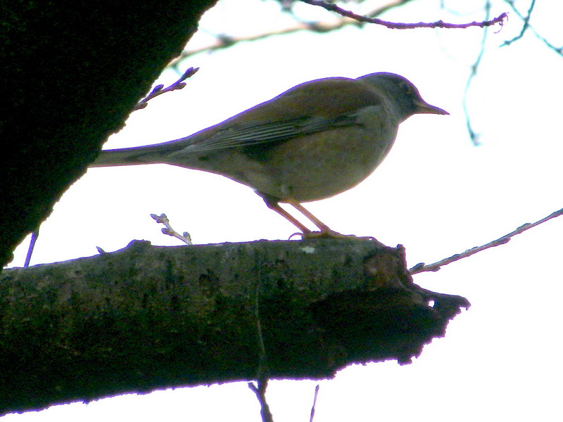 f0204094_10362249.jpg