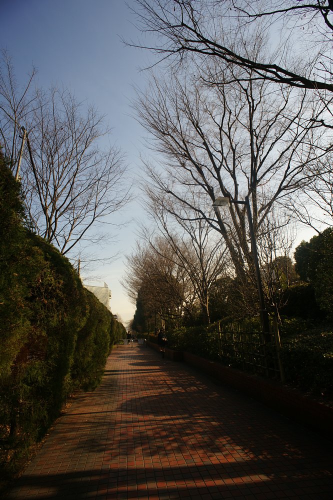 c0124795_12251186.jpg