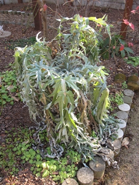 c0117898_23262017.jpg