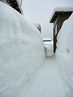 雪国へいってきました。_b0014003_1635818.jpg