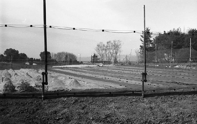 c0171206_19491838.jpg