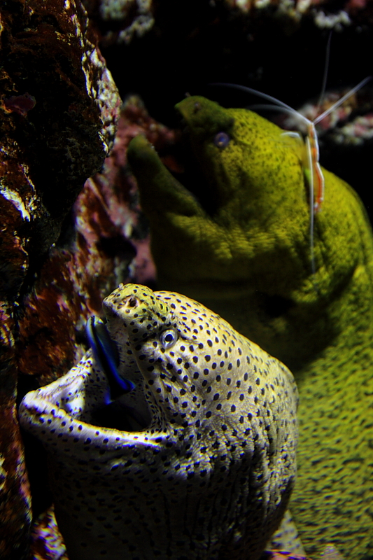 a0142407_23245948.jpg