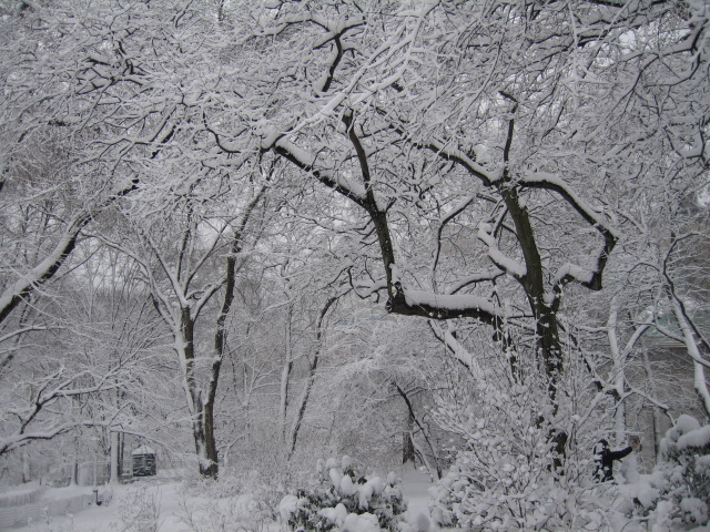f0036409_9471726.jpg
