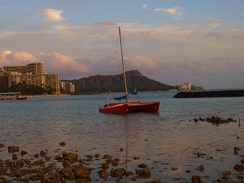 a0126310_18394454.jpg