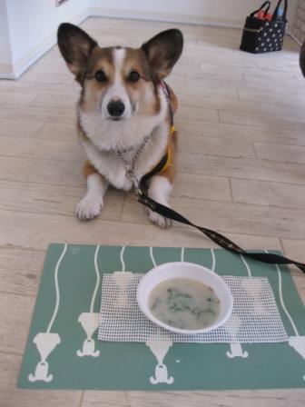 食育イベント講座 ~花粉症なんかに負けないぞ!!_f0155118_1082886.jpg