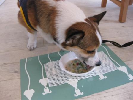 食育イベント講座 ~花粉症なんかに負けないぞ!!_f0155118_1090100.jpg