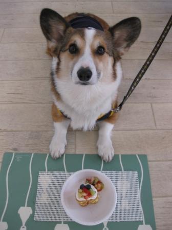 食育イベント講座 ~花粉症なんかに負けないぞ!!_f0155118_1094128.jpg
