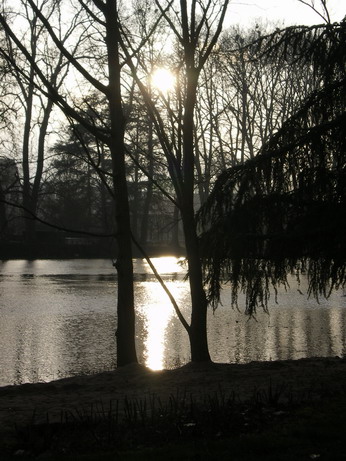 c0124619_601414.jpg