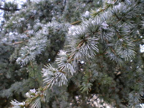 c0124619_604974.jpg