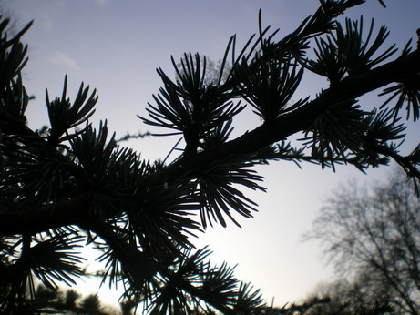 c0124619_612047.jpg
