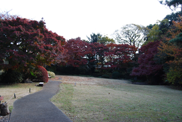 すみれば写真館　part 26 (11/29)_e0018920_23195639.jpg