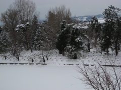 b0147224_2350259.jpg