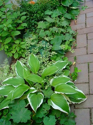 f0170524_11295120.jpg