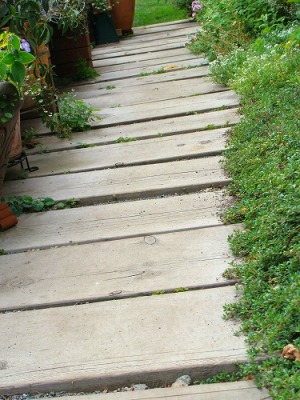 f0170524_11302243.jpg