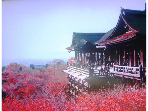 茶の湯は日本の総合芸術だ_f0180726_10222352.jpg