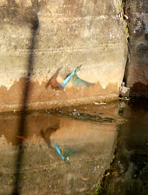 a0075228_17484561.jpg