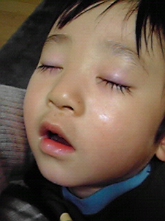 a0075133_193764.jpg