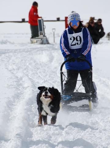 犬ぞりレポート その1_c0099133_0102679.jpg
