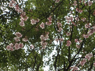 c0090236_17384441.jpg