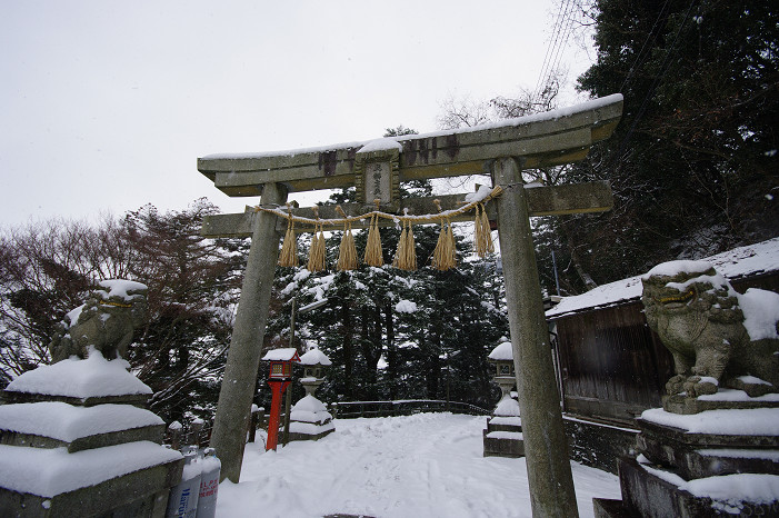 坂本ケーブル ~後編~_f0152550_222631.jpg