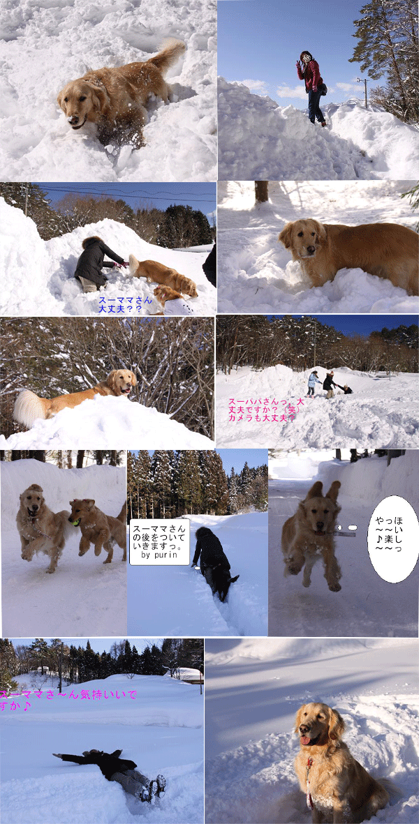 e0149256_18413988.gif