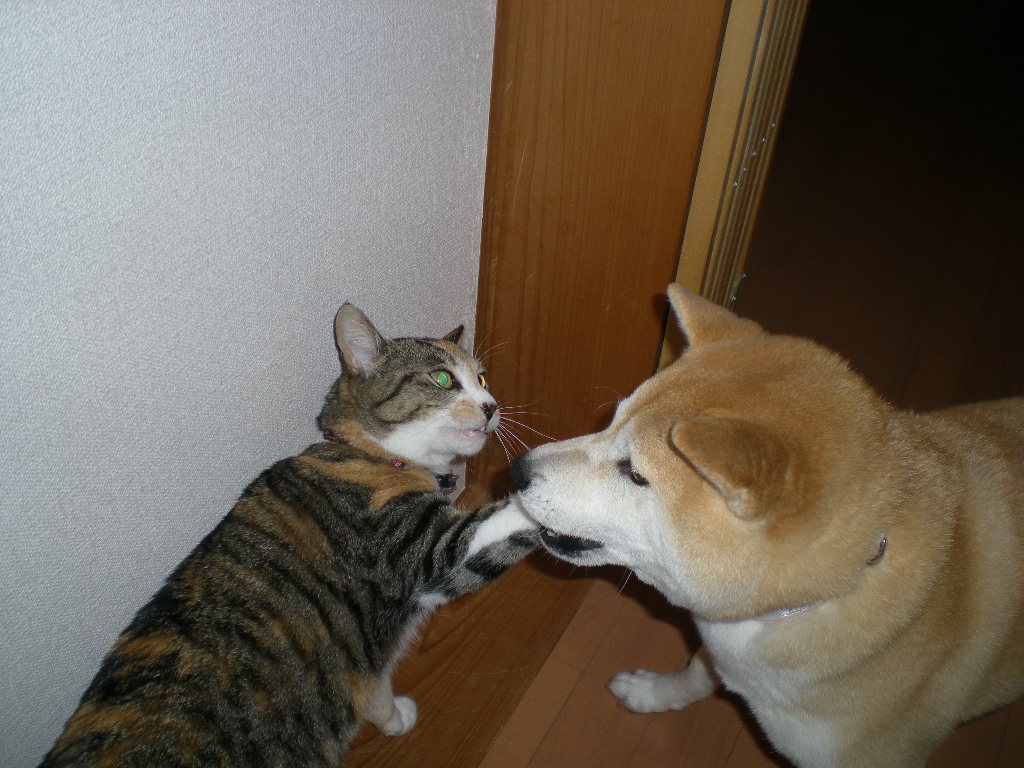 2010年2月11日(木)雨の建国記念日!_f0060461_11125456.jpg