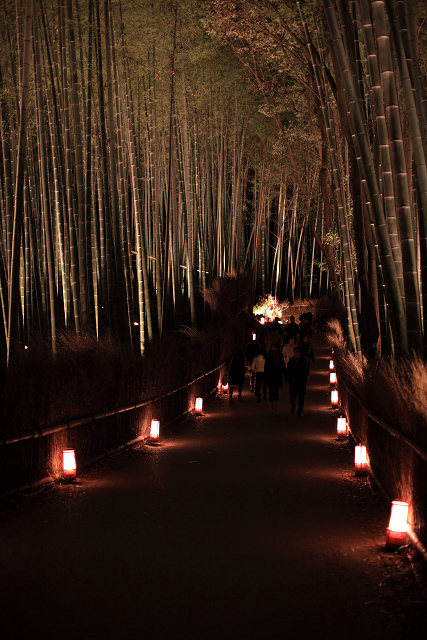  京都・嵐山花灯路２００９　12_a0142167_22555446.jpg