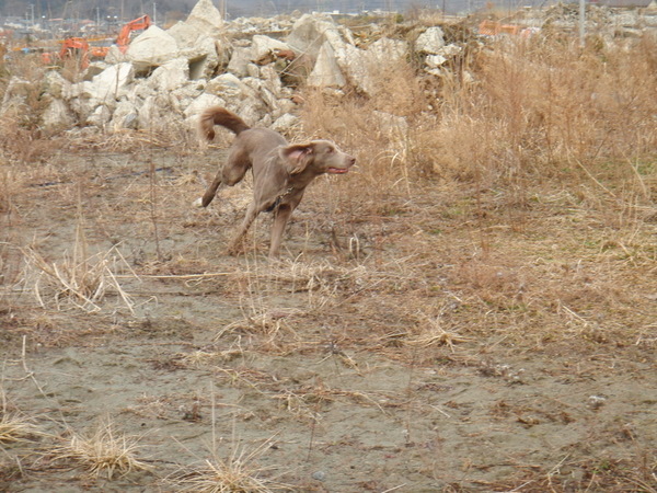 f0065568_2046998.jpg