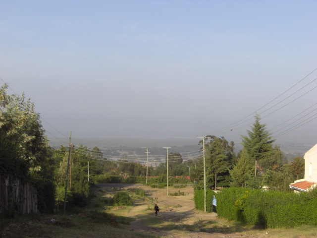 c0204073_23199.jpg