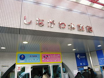 d0121374_23585824.jpg