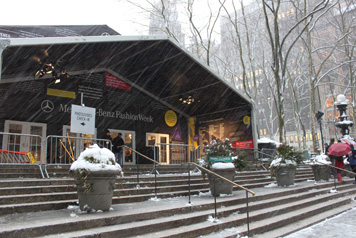 c0050387_1651413.jpg