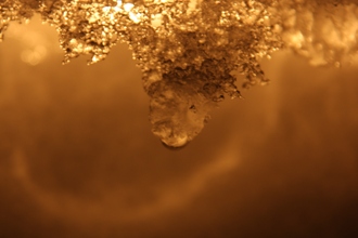 d0082288_95475.jpg