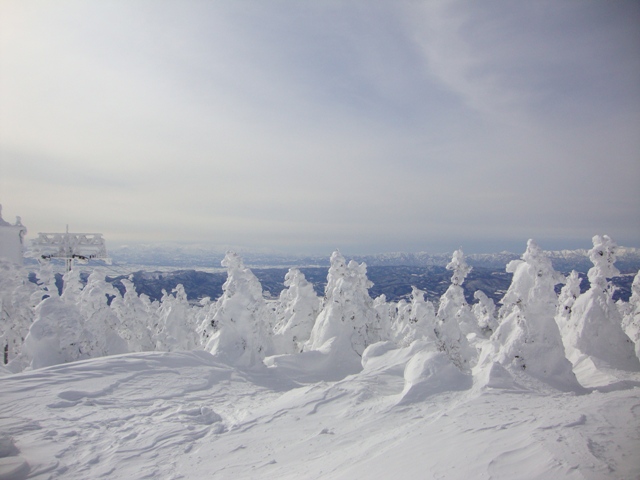 かぼ父さん、蔵王ひとり旅_a0126590_154015.jpg